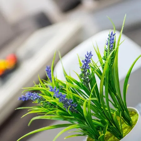 Cozy In Old Town - With Parking Apartament *